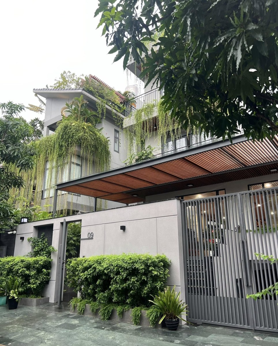 Dự án